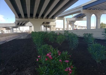 288 Median_1